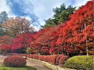 鬼怒川は紅葉が見頃です！